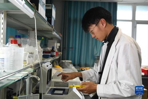 科技育种路 追梦不止步 生物基材料技术研发的探索与未来