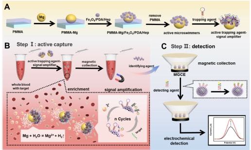 南京师范大学在生物基材料技术驱动下，于生物医用微纳米机器人领域取得系列重要突破